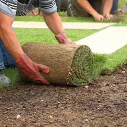 Belarra instalatzea Lorezainak Gasteizen